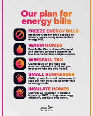 Image courtesy of Lib Dems Lib Dem actions on energy 2022