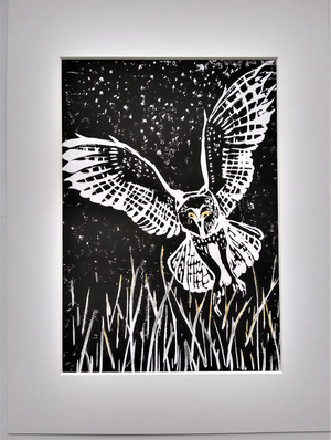 Image courtesy of Jane Dent Snowy Owl JD
