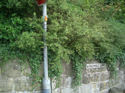 Image courtesy of Peter Dobbs NOx tube at Windmill lane
