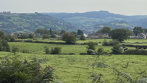 Wolds view
