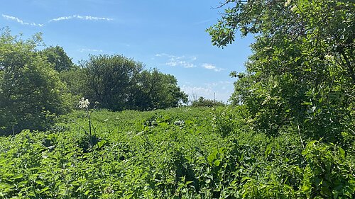 Location of proposed traveller site in Watery Lane Ashbourne