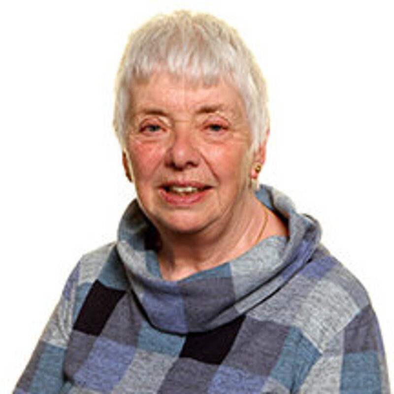 Cllr Pat Wildgoose Pat Wildgoose